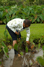 Load image into Gallery viewer, Ikaika Rashguards - Mahiai Kalo X Puakalaunu